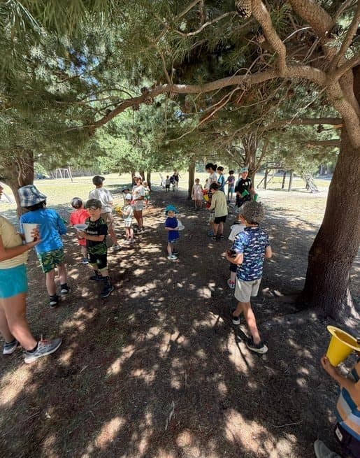 Actividad real de colonia Dos Valles